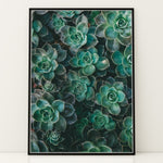 Ladda upp bild till gallerivisning, Flora Illustreret | Smukke plakater til kontor og hjem | Plakat med grønne planter, botanisk kunst og naturplanter, ideel til at tilføje et organisk og livligt præg til dit hjem.
