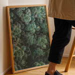 Ladda upp bild till gallerivisning, Flora Illustreret | Smukke plakater til kontor og hjem | Plakat med grønne planter, botanisk kunst og naturplanter, ideel til at tilføje et organisk og livligt præg til dit hjem.
