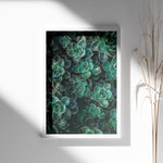 Ladda upp bild till gallerivisning, Flora Illustreret | Smukke plakater til kontor og hjem | Plakat med grønne planter, botanisk kunst og naturplanter, ideel til at tilføje et organisk og livligt præg til dit hjem.
