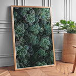 Ladda upp bild till gallerivisning, Flora Illustreret | Smukke plakater til kontor og hjem | Plakat med grønne planter, botanisk kunst og naturplanter, ideel til at tilføje et organisk og livligt præg til dit hjem.
