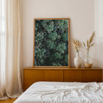 Ladda upp bild till gallerivisning, Flora Illustreret | Smukke plakater til kontor og hjem | Plakat med grønne planter, botanisk kunst og naturplanter, ideel til at tilføje et organisk og livligt præg til dit hjem.
