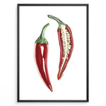 Ladda upp bild till gallerivisning, Minimalist red chili pepper plakat illustration showing whole and sliced chili with seeds, framed in black, ideal for modern kitchen or dining room wall art.
