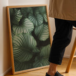 Ladda upp bild till gallerivisning, Bladkunst | Dekorér din bolig med naturlige elementer | Plakat med grønne planter, botanisk kunst og naturplanter, ideel til at tilføje et organisk og livligt præg til dit hjem.
