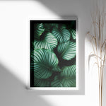 Ladda upp bild till gallerivisning, Bladkunst | Dekorér din bolig med naturlige elementer | Plakat med grønne planter, botanisk kunst og naturplanter, ideel til at tilføje et organisk og livligt præg til dit hjem.
