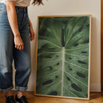 Ladda upp bild till gallerivisning, Plante plakat | Naturligt print til din indretning | Plakat med grønne planter, botanisk kunst og naturplanter, ideel til at tilføje et organisk og livligt præg til dit hjem.

