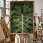 Ladda upp bild till gallerivisning, Plante plakat | Naturligt print til din indretning | Plakat med grønne planter, botanisk kunst og naturplanter, ideel til at tilføje et organisk og livligt præg til dit hjem.
