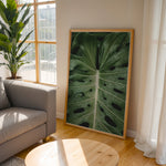 Ladda upp bild till gallerivisning, Plante plakat | Naturligt print til din indretning | Plakat med grønne planter, botanisk kunst og naturplanter, ideel til at tilføje et organisk og livligt præg til dit hjem.
