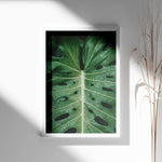 Ladda upp bild till gallerivisning, Plante plakat | Naturligt print til din indretning | Plakat med grønne planter, botanisk kunst og naturplanter, ideel til at tilføje et organisk og livligt præg til dit hjem.
