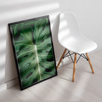 Ladda upp bild till gallerivisning, Plante plakat | Naturligt print til din indretning | Plakat med grønne planter, botanisk kunst og naturplanter, ideel til at tilføje et organisk og livligt præg til dit hjem.
