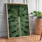 Ladda upp bild till gallerivisning, Plante plakat | Naturligt print til din indretning | Plakat med grønne planter, botanisk kunst og naturplanter, ideel til at tilføje et organisk og livligt præg til dit hjem.
