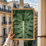 Ladda upp bild till gallerivisning, Plante plakat | Naturligt print til din indretning | Plakat med grønne planter, botanisk kunst og naturplanter, ideel til at tilføje et organisk og livligt præg til dit hjem.
