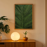 Ladda upp bild till gallerivisning, Plante print | Stilfuld plakat med botaniske motiver | Plakat med grønne planter, botanisk kunst og naturplanter, ideel til at tilføje et organisk og livligt præg til dit hjem.
