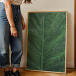 Ladda upp bild till gallerivisning, Plante print | Stilfuld plakat med botaniske motiver | Plakat med grønne planter, botanisk kunst og naturplanter, ideel til at tilføje et organisk og livligt præg til dit hjem.
