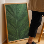 Ladda upp bild till gallerivisning, Plante print | Stilfuld plakat med botaniske motiver | Plakat med grønne planter, botanisk kunst og naturplanter, ideel til at tilføje et organisk og livligt præg til dit hjem.
