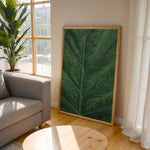 Ladda upp bild till gallerivisning, Plante print | Stilfuld plakat med botaniske motiver | Plakat med grønne planter, botanisk kunst og naturplanter, ideel til at tilføje et organisk og livligt præg til dit hjem.

