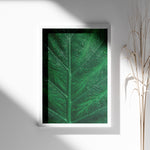 Ladda upp bild till gallerivisning, Plante print | Stilfuld plakat med botaniske motiver | Plakat med grønne planter, botanisk kunst og naturplanter, ideel til at tilføje et organisk og livligt præg til dit hjem.
