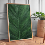 Ladda upp bild till gallerivisning, Plante print | Stilfuld plakat med botaniske motiver | Plakat med grønne planter, botanisk kunst og naturplanter, ideel til at tilføje et organisk og livligt præg til dit hjem.
