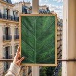 Ladda upp bild till gallerivisning, Plante print | Stilfuld plakat med botaniske motiver | Plakat med grønne planter, botanisk kunst og naturplanter, ideel til at tilføje et organisk og livligt præg til dit hjem.
