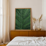 Ladda upp bild till gallerivisning, Plante print | Stilfuld plakat med botaniske motiver | Plakat med grønne planter, botanisk kunst og naturplanter, ideel til at tilføje et organisk og livligt præg til dit hjem.
