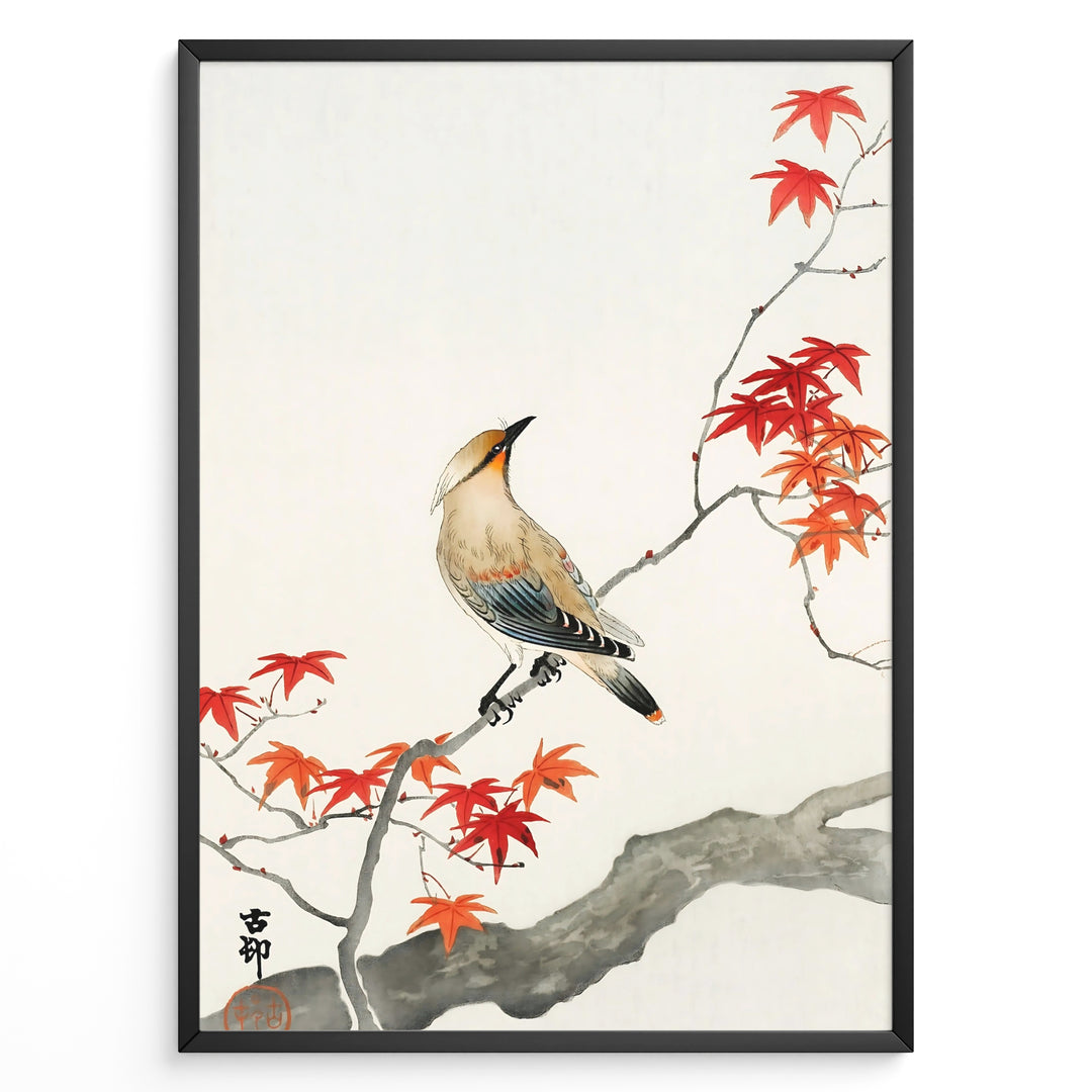 Japanese watercolor painting of a bird perched on a branch with red maple leaves in a framed poster.