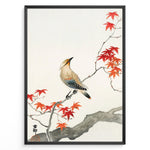 Ladda upp bild till gallerivisning, Japanese watercolor painting of a bird perched on a branch with red maple leaves in a framed poster.
