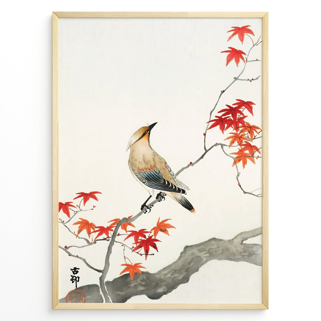 Japanese watercolor painting of a bird perched on a branch with red maple leaves in a framed poster.