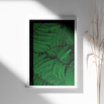 Ladda upp bild till gallerivisning, Plante print | Elegant plakat med detaljerede illustrationer | Plakat med grønne planter, botanisk kunst og naturplanter, ideel til at tilføje et organisk og livligt præg til dit hjem.
