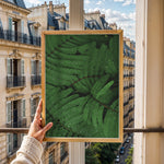 Ladda upp bild till gallerivisning, Plante print | Elegant plakat med detaljerede illustrationer | Plakat med grønne planter, botanisk kunst og naturplanter, ideel til at tilføje et organisk og livligt præg til dit hjem.
