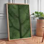 Ladda upp bild till gallerivisning, Plante plakat | Unikt print der tilføjer skønhed til rummet | Plakat med grønne planter, botanisk kunst og naturplanter, ideel til at tilføje et organisk og livligt præg til dit hjem.
