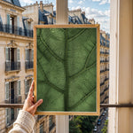 Ladda upp bild till gallerivisning, Plante plakat | Unikt print der tilføjer skønhed til rummet | Plakat med grønne planter, botanisk kunst og naturplanter, ideel til at tilføje et organisk og livligt præg til dit hjem.

