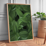 Ladda upp bild till gallerivisning, Plante print | Tidløs plakat med inspirerende motiver | Plakat med grønne planter, botanisk kunst og naturplanter, ideel til at tilføje et organisk og livligt præg til dit hjem.

