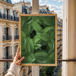 Ladda upp bild till gallerivisning, Plante print | Tidløs plakat med inspirerende motiver | Plakat med grønne planter, botanisk kunst og naturplanter, ideel til at tilføje et organisk og livligt præg til dit hjem.
