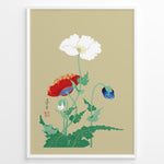 Ladda upp bild till gallerivisning, Japanese botanical illustration of white, red, and blue poppy flowers on a beige background in a framed poster.
