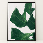 Ladda upp bild till gallerivisning, Plante print | Smuk plakat med levende farver | Plakat med grønne planter, botanisk kunst og naturplanter, ideel til at tilføje et organisk og livligt præg til dit hjem.
