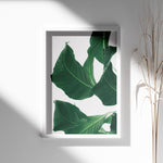 Ladda upp bild till gallerivisning, Plante print | Smuk plakat med levende farver | Plakat med grønne planter, botanisk kunst og naturplanter, ideel til at tilføje et organisk og livligt præg til dit hjem.
