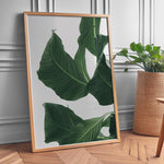 Ladda upp bild till gallerivisning, Plante print | Smuk plakat med levende farver | Plakat med grønne planter, botanisk kunst og naturplanter, ideel til at tilføje et organisk og livligt præg til dit hjem.
