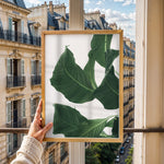 Ladda upp bild till gallerivisning, Plante print | Smuk plakat med levende farver | Plakat med grønne planter, botanisk kunst og naturplanter, ideel til at tilføje et organisk og livligt præg til dit hjem.
