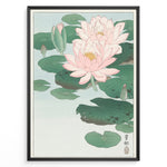 Ladda upp bild till gallerivisning, Japanese woodblock-style lotus flower illustration with pink blooms and green lily pads in a framed poster.
