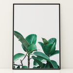 Ladda upp bild till gallerivisning, Plante plakat | Naturligt print der skaber ro | Plakat med grønne planter, botanisk kunst og naturplanter, ideel til at tilføje et organisk og livligt præg til dit hjem.
