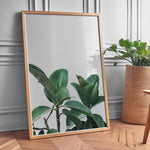 Ladda upp bild till gallerivisning, Plante plakat | Naturligt print der skaber ro | Plakat med grønne planter, botanisk kunst og naturplanter, ideel til at tilføje et organisk og livligt præg til dit hjem.
