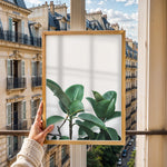 Ladda upp bild till gallerivisning, Plante plakat | Naturligt print der skaber ro | Plakat med grønne planter, botanisk kunst og naturplanter, ideel til at tilføje et organisk og livligt præg til dit hjem.
