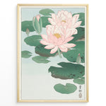Ladda upp bild till gallerivisning, Japanese woodblock-style lotus flower illustration with pink blooms and green lily pads in a framed poster.
