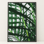 Ladda upp bild till gallerivisning, Plante print | Unik plakat med stilfulde designs | Plakat med grønne planter, botanisk kunst og naturplanter, ideel til at tilføje et organisk og livligt præg til dit hjem.
