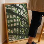 Ladda upp bild till gallerivisning, Plante print | Unik plakat med stilfulde designs | Plakat med grønne planter, botanisk kunst og naturplanter, ideel til at tilføje et organisk og livligt præg til dit hjem.
