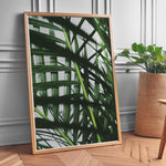 Ladda upp bild till gallerivisning, Plante print | Unik plakat med stilfulde designs | Plakat med grønne planter, botanisk kunst og naturplanter, ideel til at tilføje et organisk og livligt præg til dit hjem.
