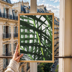 Ladda upp bild till gallerivisning, Plante print | Unik plakat med stilfulde designs | Plakat med grønne planter, botanisk kunst og naturplanter, ideel til at tilføje et organisk og livligt præg til dit hjem.
