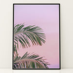 Ladda upp bild till gallerivisning, Plakat med palmeblade | Sommer og Strand Plakater | Denne plakat viser grønne palmeblade mod en pastel farvet himmel. Perfekt til dem, der elsker tropisk atmosfære.
