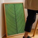 Ladda upp bild till gallerivisning, Plante plakat | Elegant print med livlige motiver | Plakat med grønne planter, botanisk kunst og naturplanter, ideel til at tilføje et organisk og livligt præg til dit hjem.

