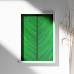 Ladda upp bild till gallerivisning, Plante plakat | Elegant print med livlige motiver | Plakat med grønne planter, botanisk kunst og naturplanter, ideel til at tilføje et organisk og livligt præg til dit hjem.
