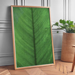Ladda upp bild till gallerivisning, Plante plakat | Elegant print med livlige motiver | Plakat med grønne planter, botanisk kunst og naturplanter, ideel til at tilføje et organisk og livligt præg til dit hjem.
